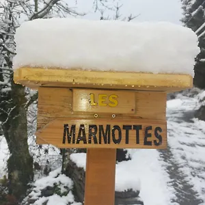 Les Marmottes Les Etalons